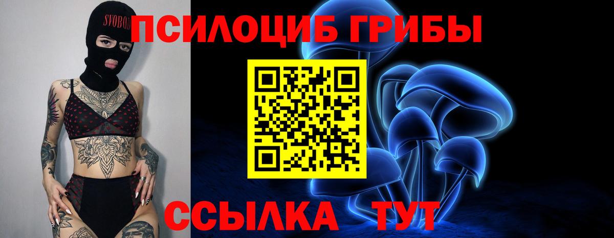 Псилоцибиновые грибы Psilocybine cubensis Верхняя Салда